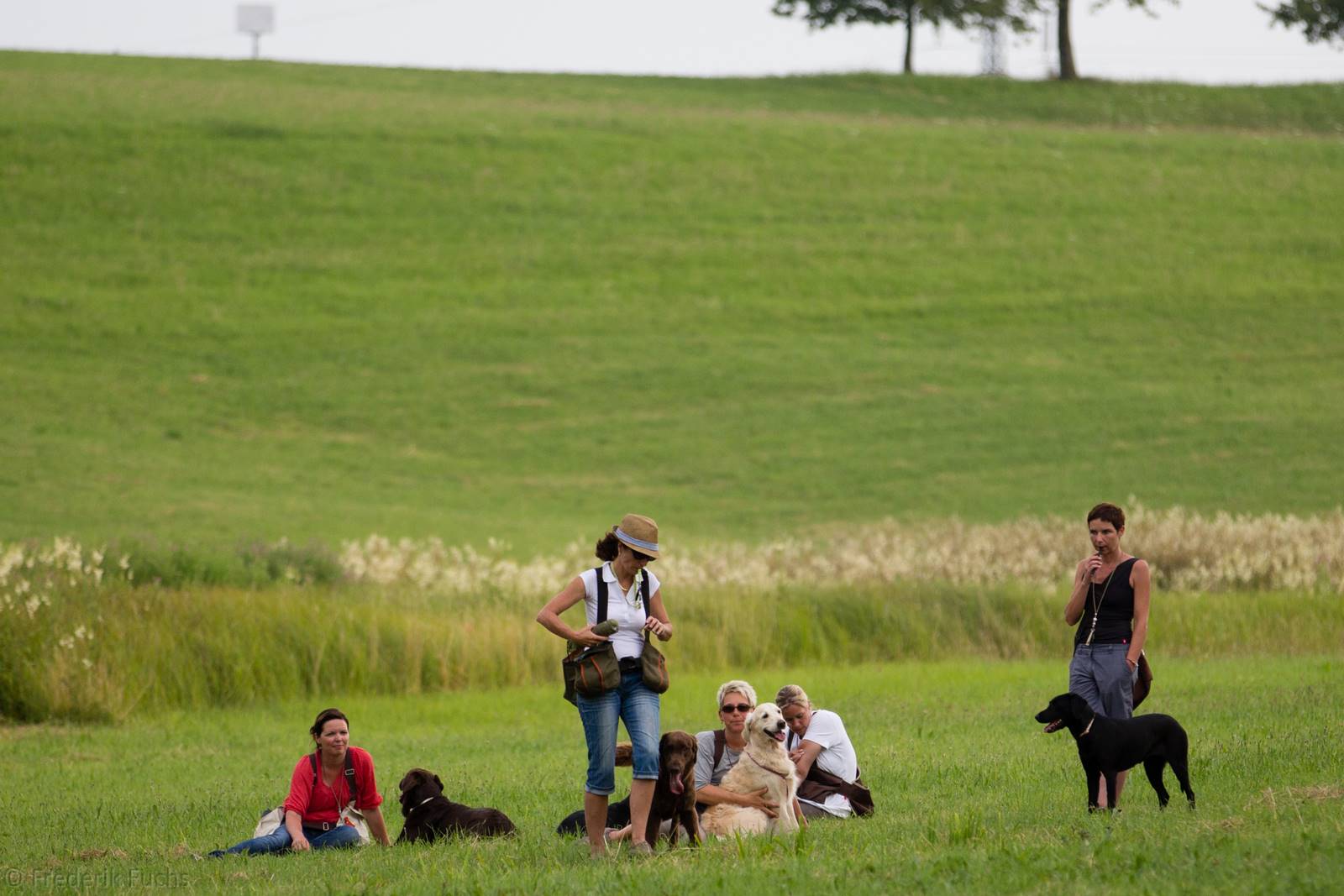 Limgl2858 20130719 1560764730