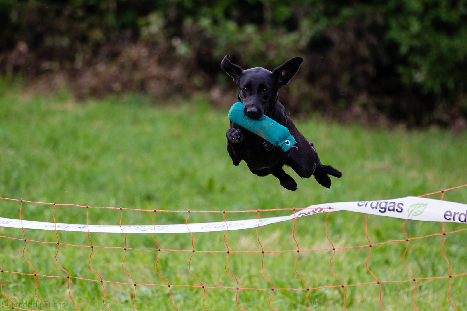 Limgl2864 20130719 1426556410