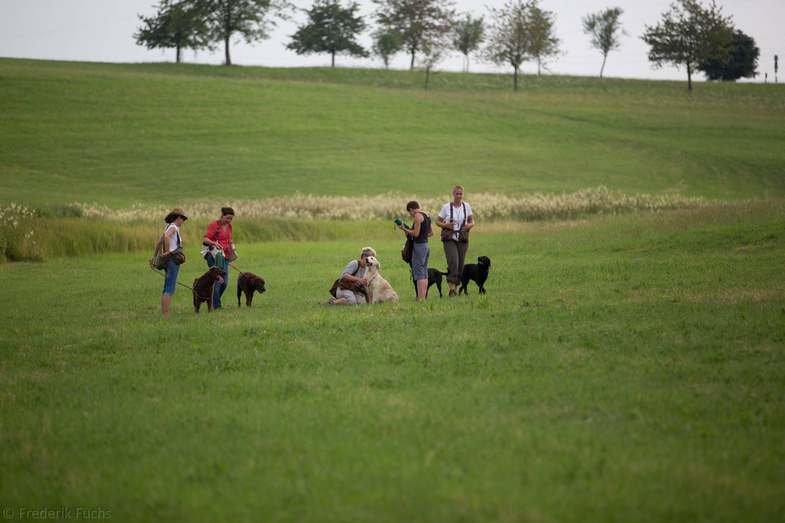 Limgl2878 20130719 1487598643