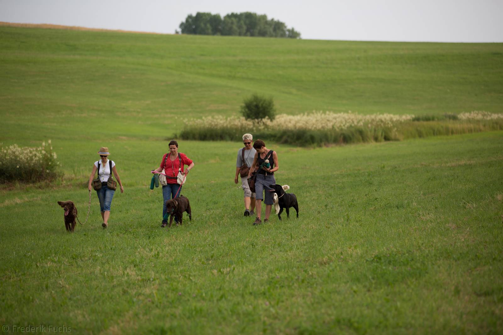 Limgl2881 20130719 1177742662