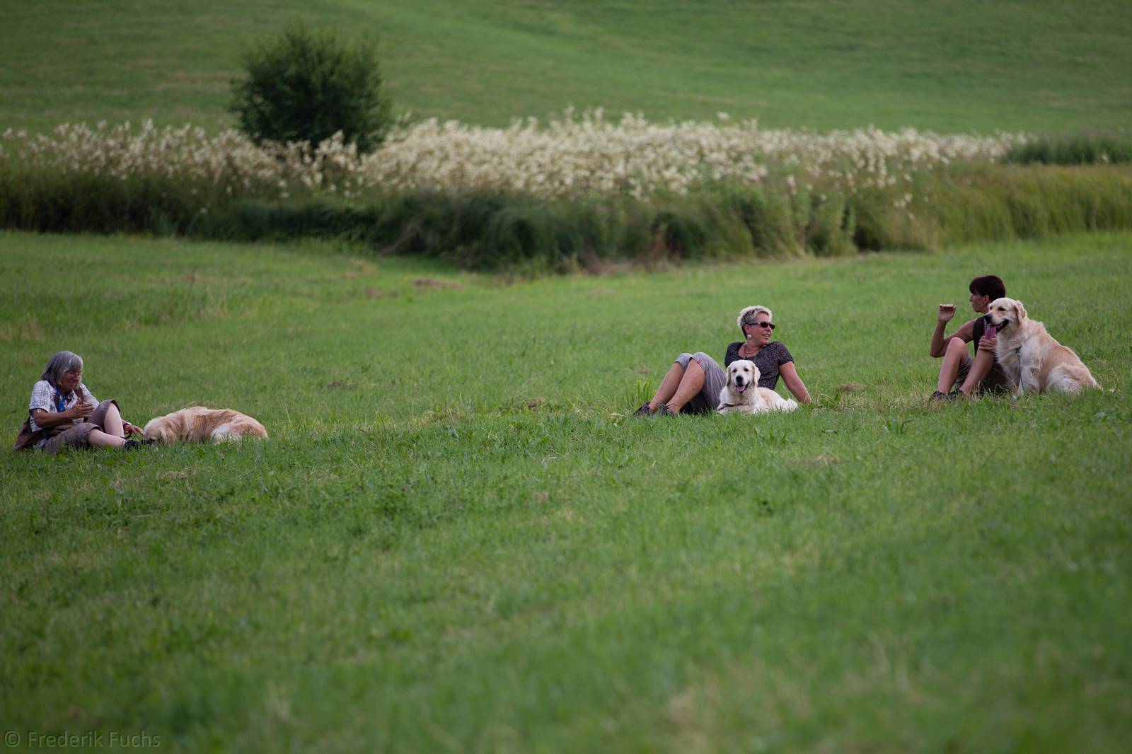 Limgl2884 20130719 1515414939