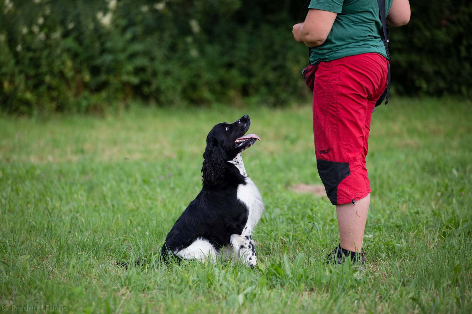 Limgl2886 20130719 1795881516