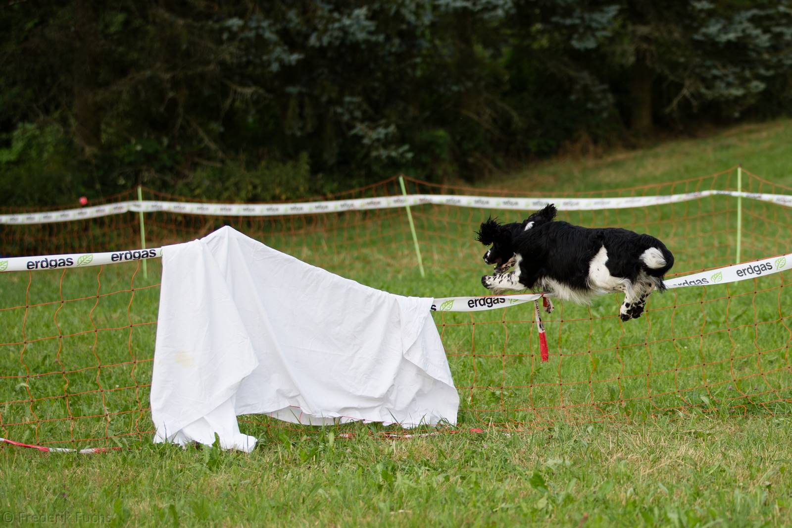 Limgl2888 20130719 1614723245