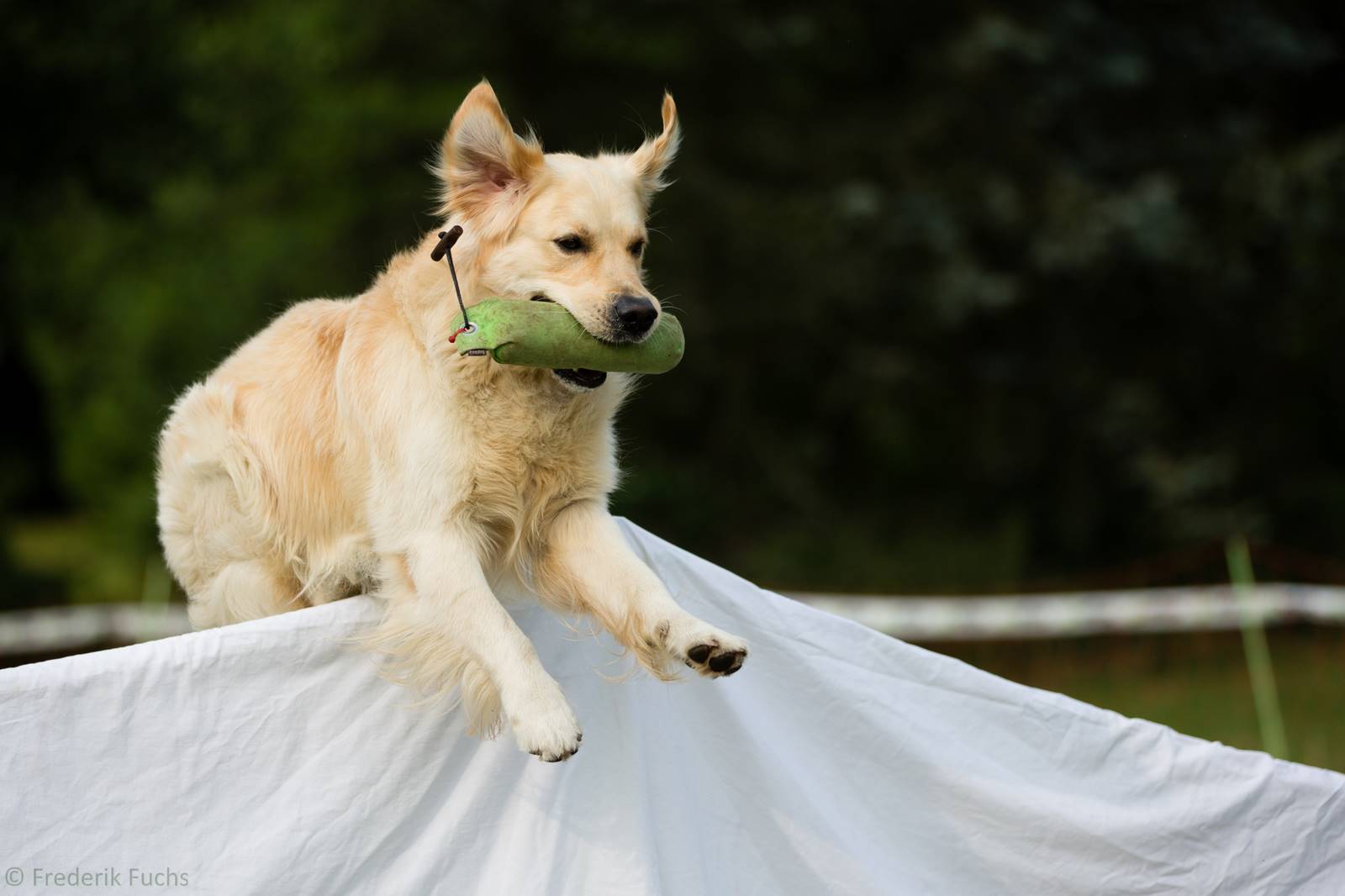 Limgl2892 20130719 1595912083