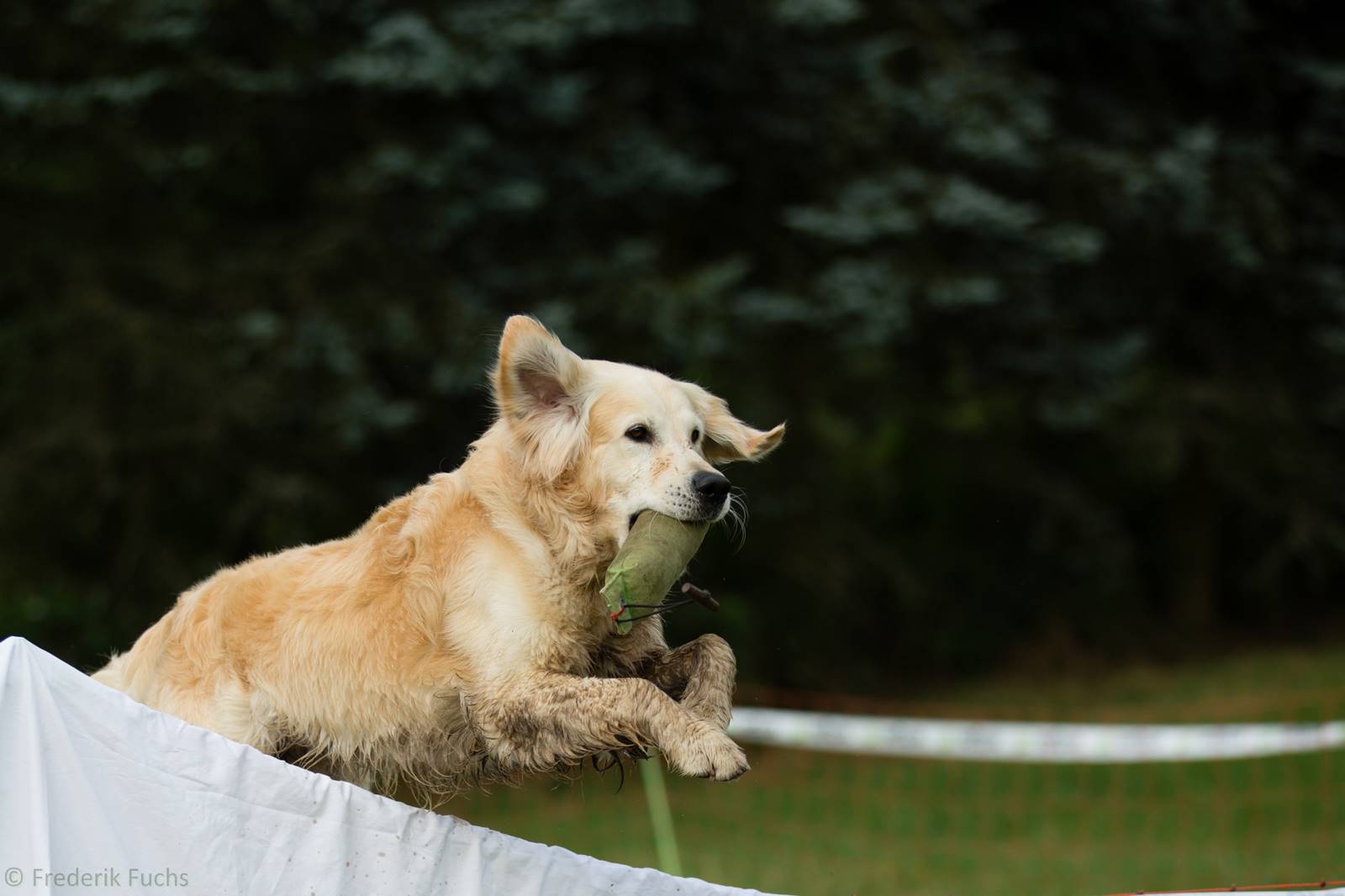 Limgl2894 20130719 1016418906