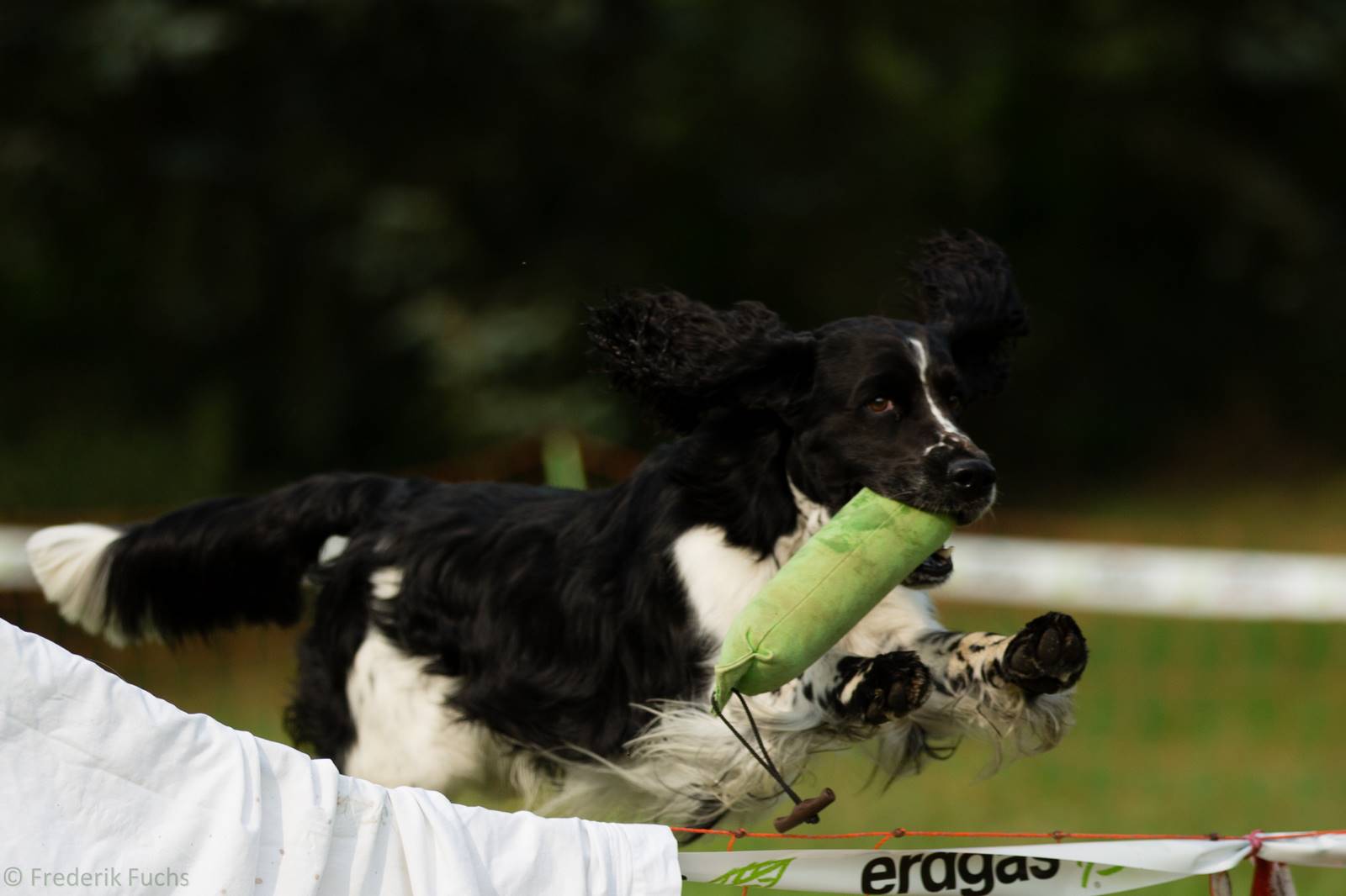 Limgl2898 20130719 1925633309