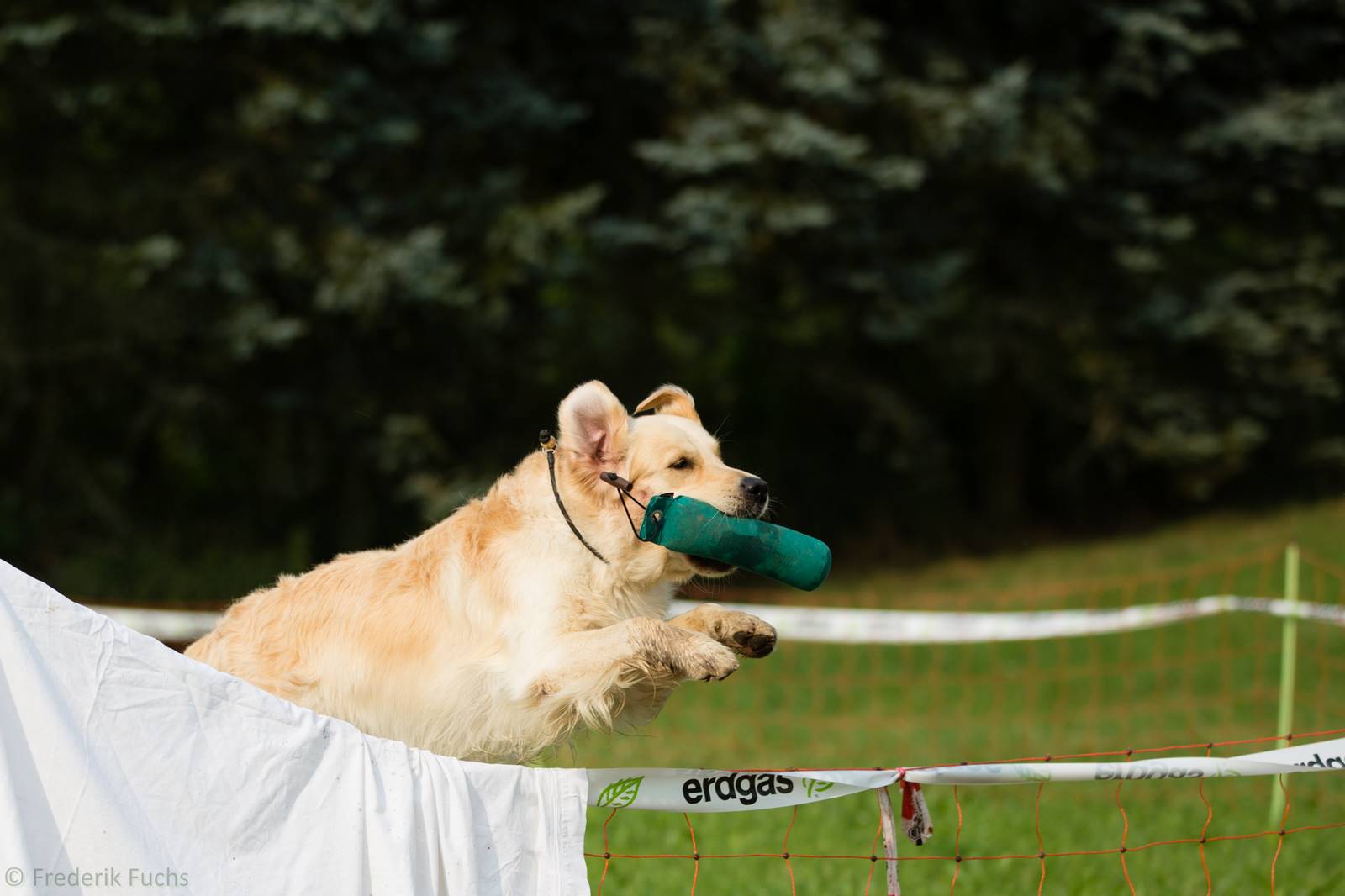 Limgl2900 20130719 1210480160