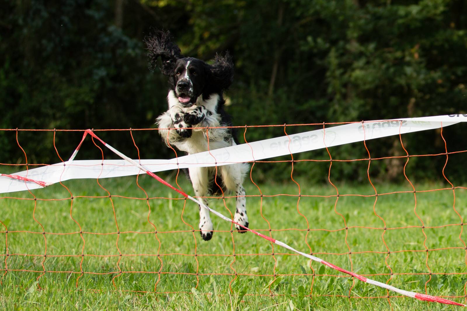 Limgl2903 20130719 1685228389