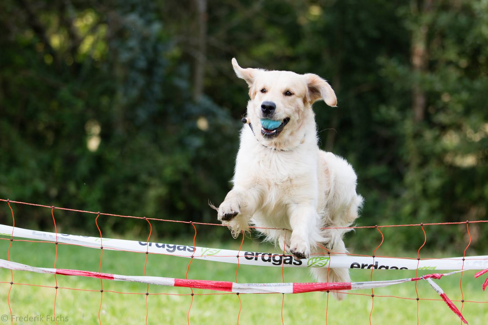 Limgl2929 20130719 1908647498