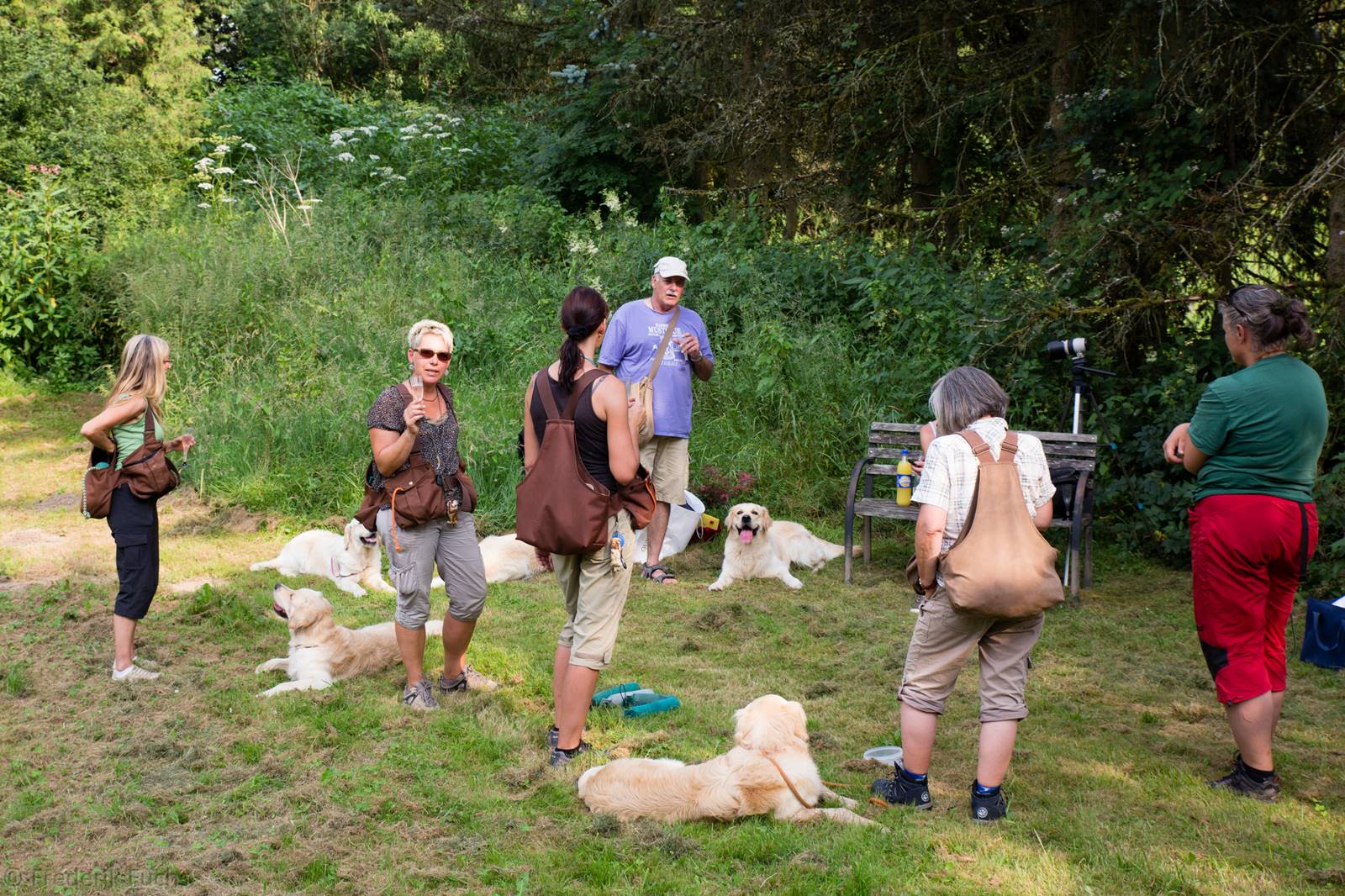 Limgl2932 20130719 1655639137