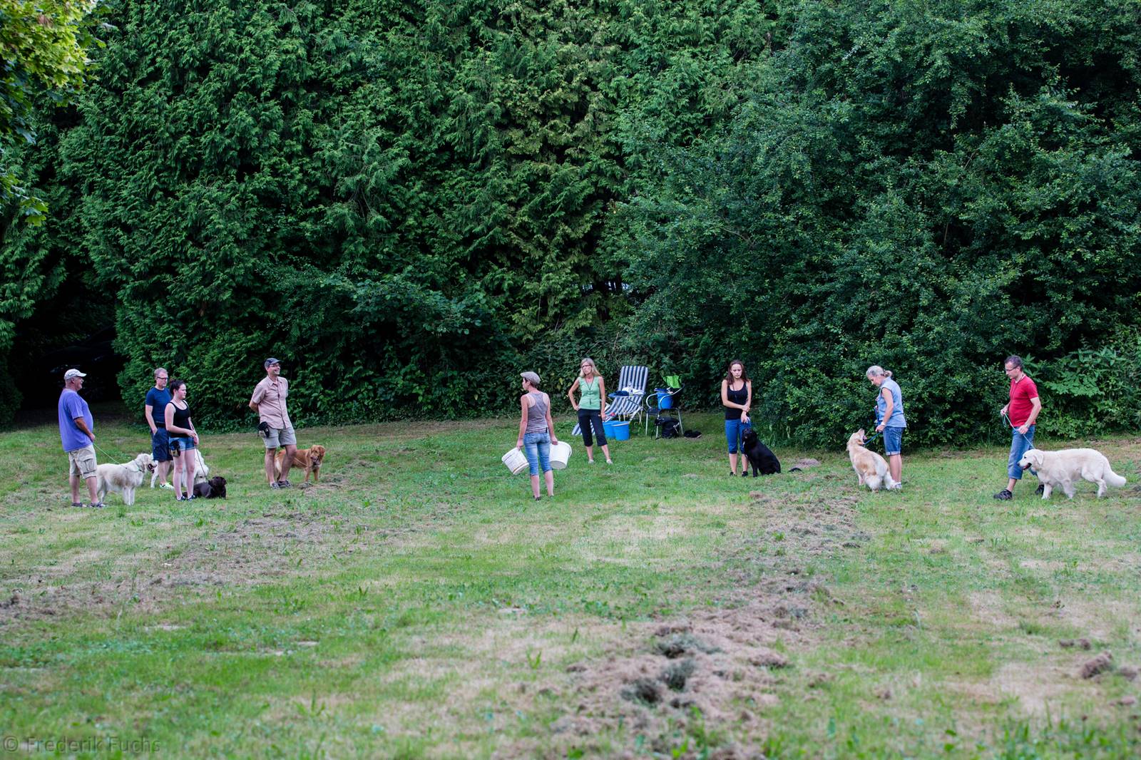 Limgl2971 20130719 1110857154