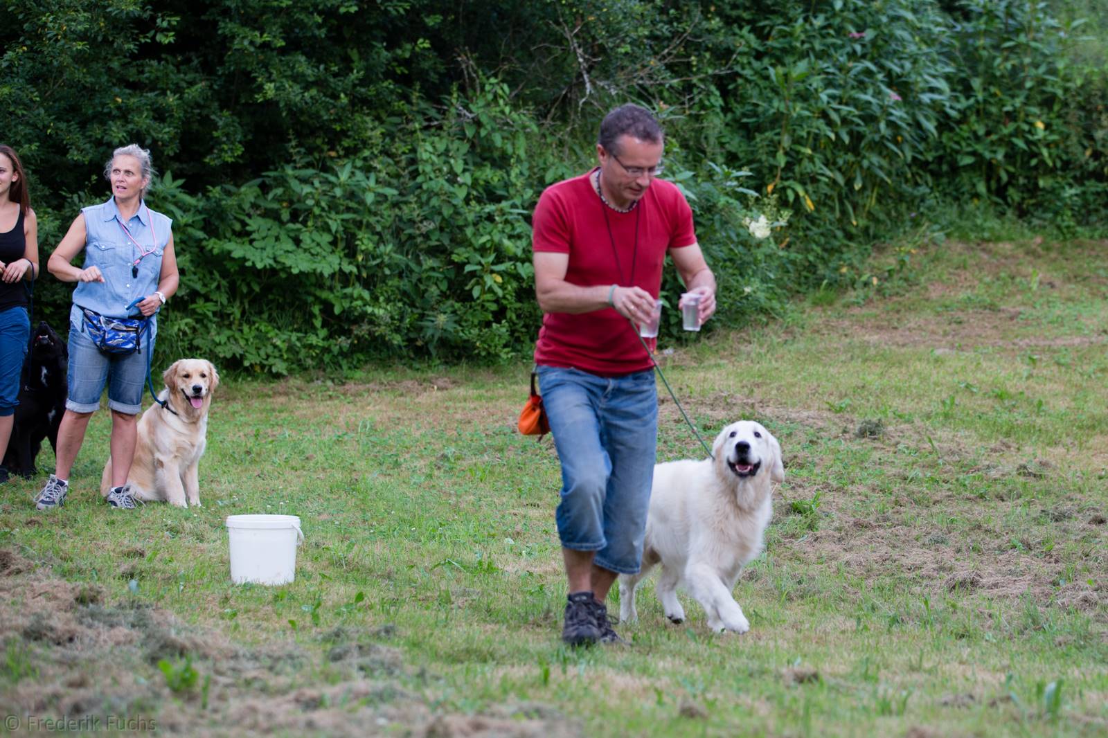 Limgl2974 20130719 1100062467