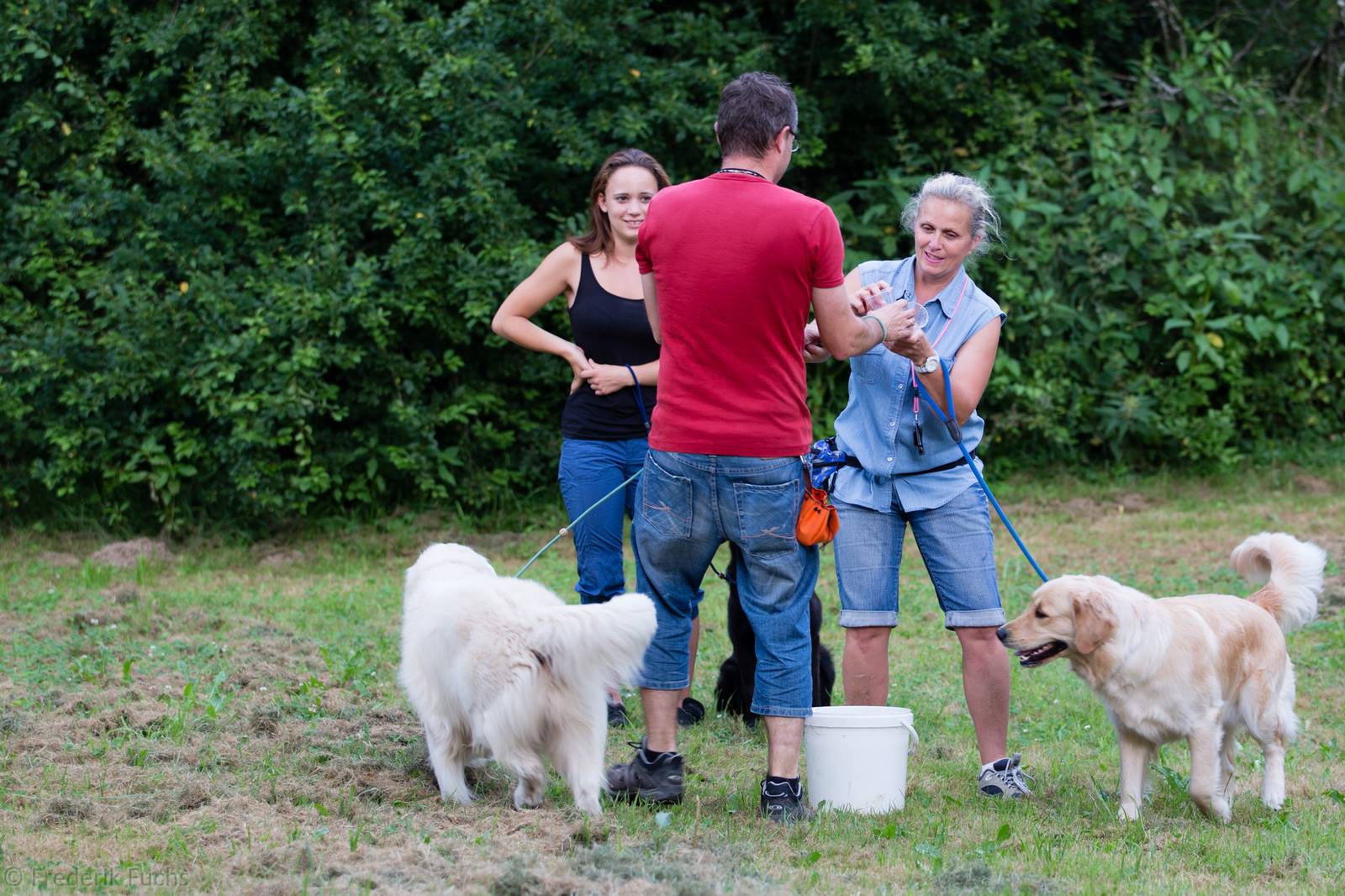 Limgl2978 20130719 1249168133