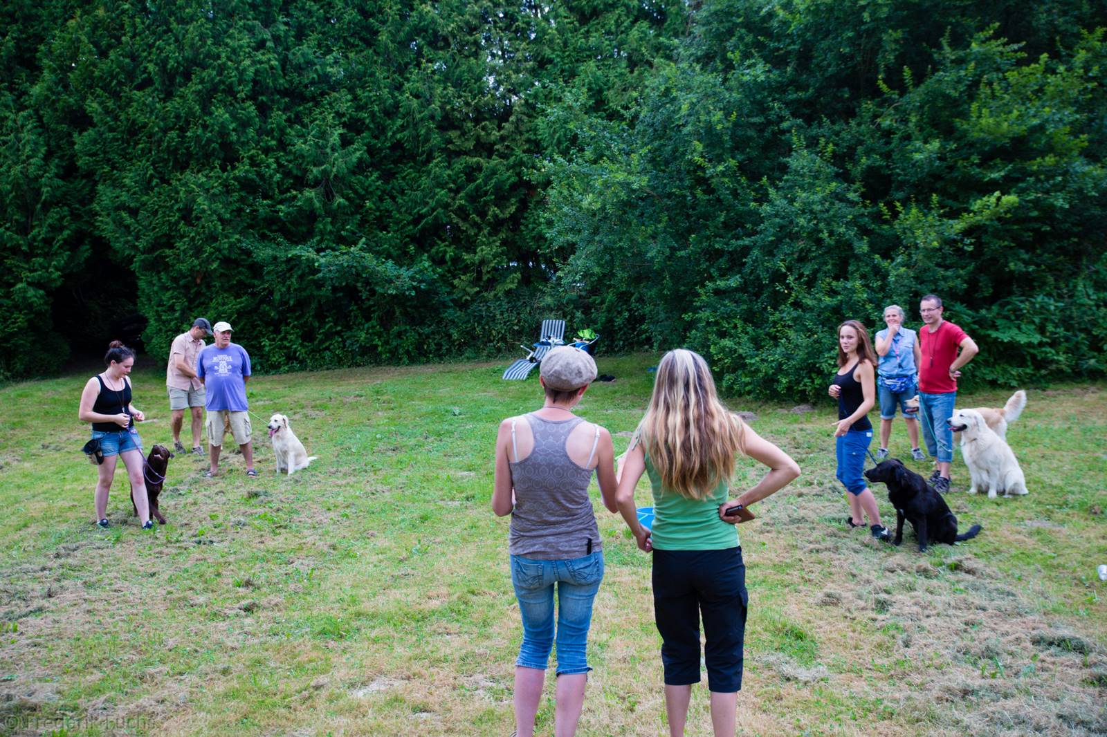 Limgl3035 20130719 1614790342