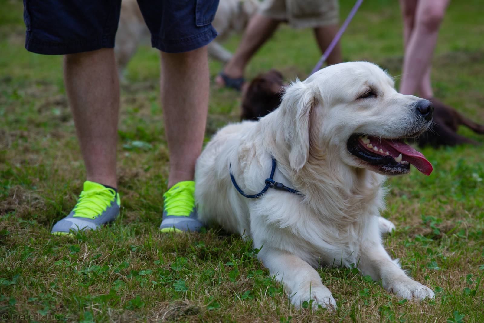 Limgl3040 20130719 1972575765