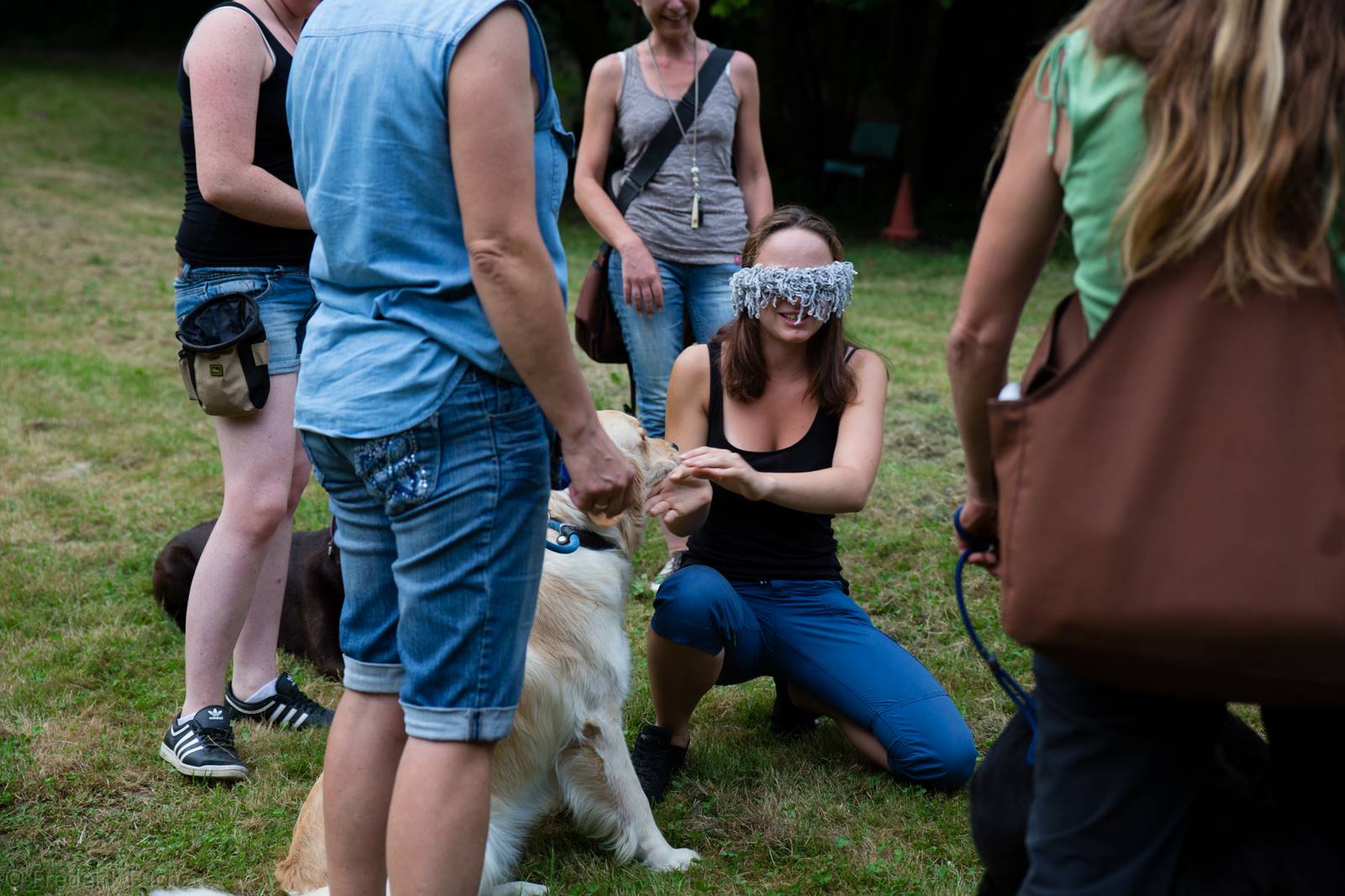 Limgl3080 20130719 1405458984