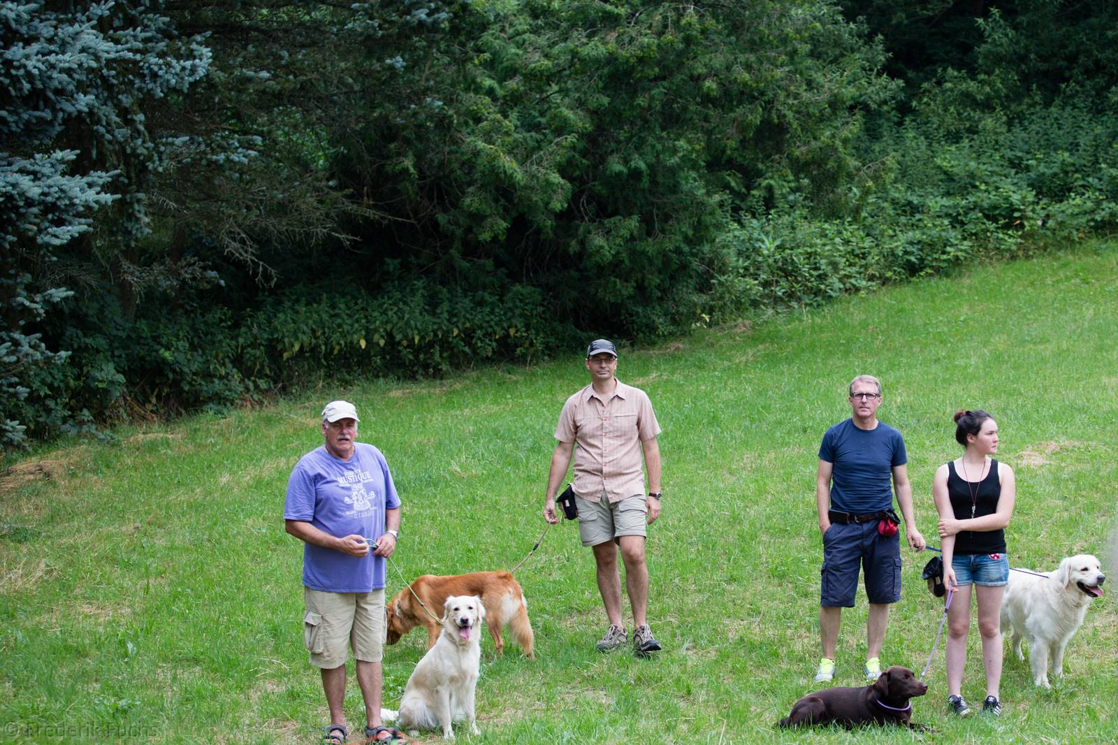 Limgl3084 20130719 1195670302