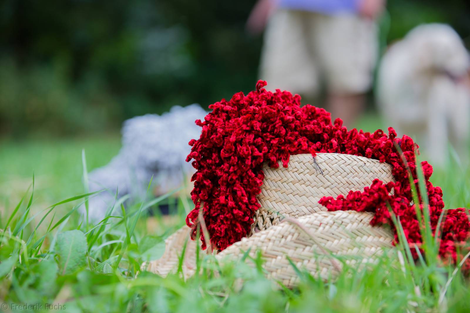 Limgl3087 20130719 1137263101