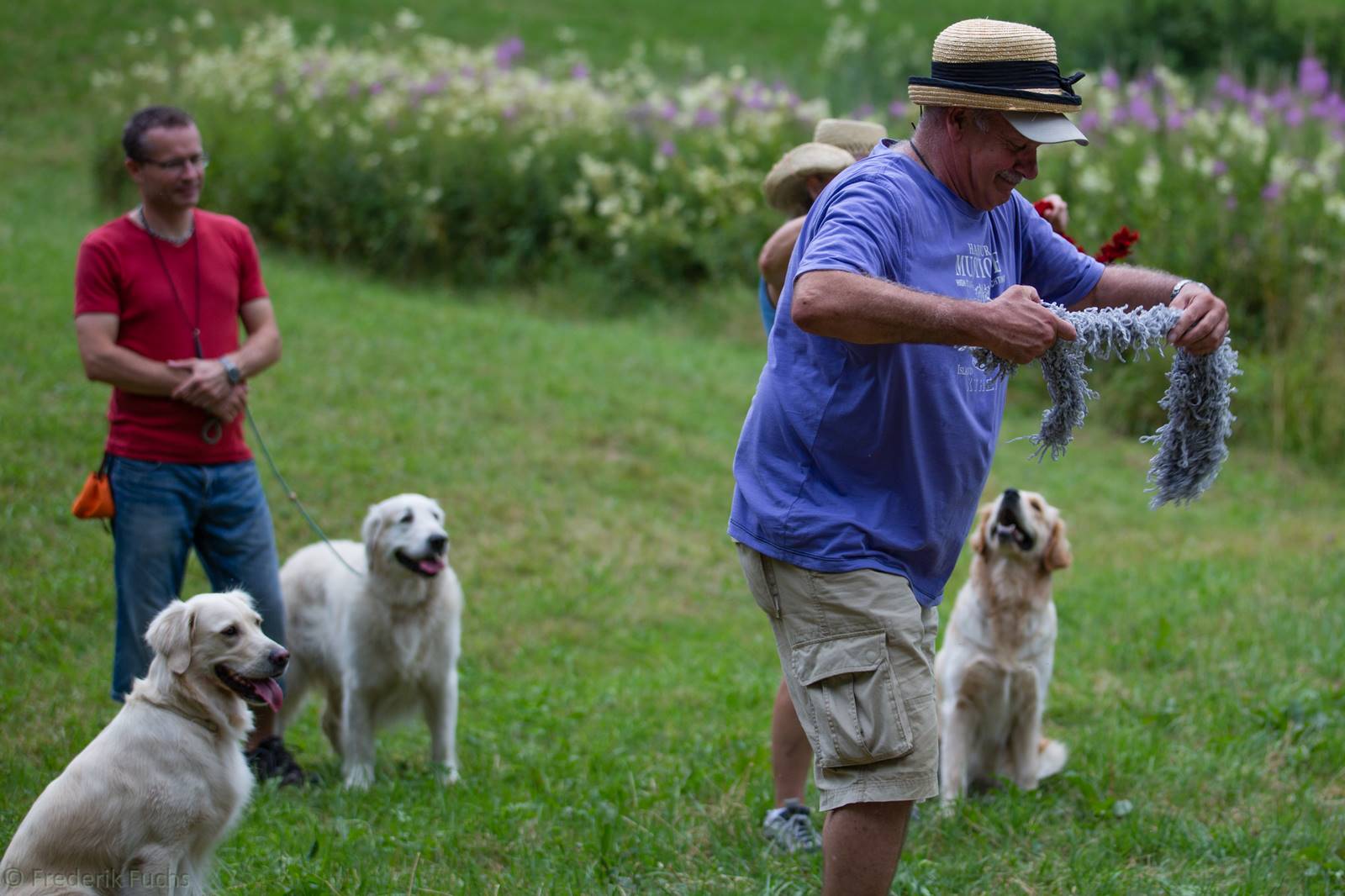 Limgl3089 20130719 1406639423