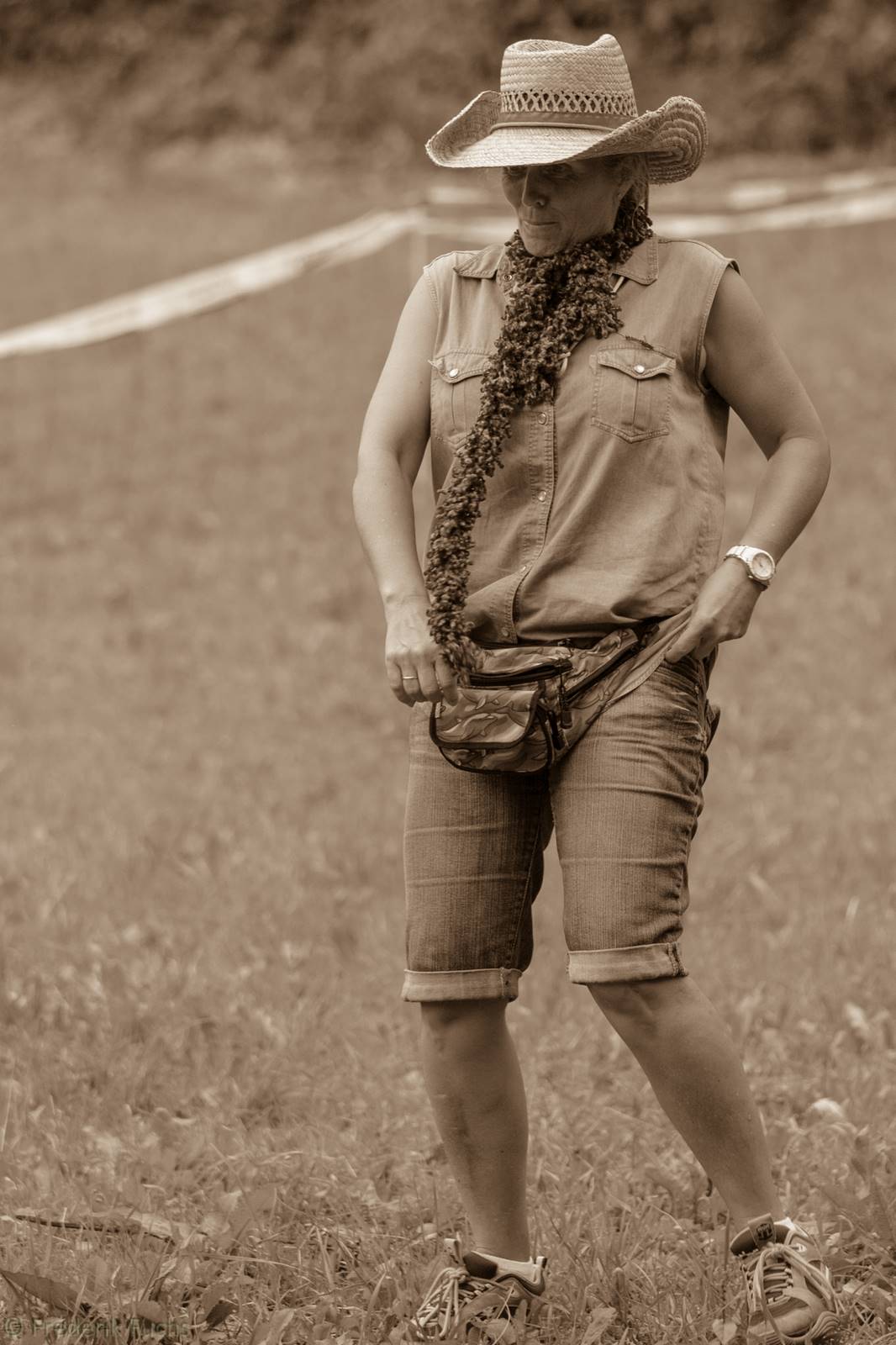 Limgl3096 20130719 1288376305