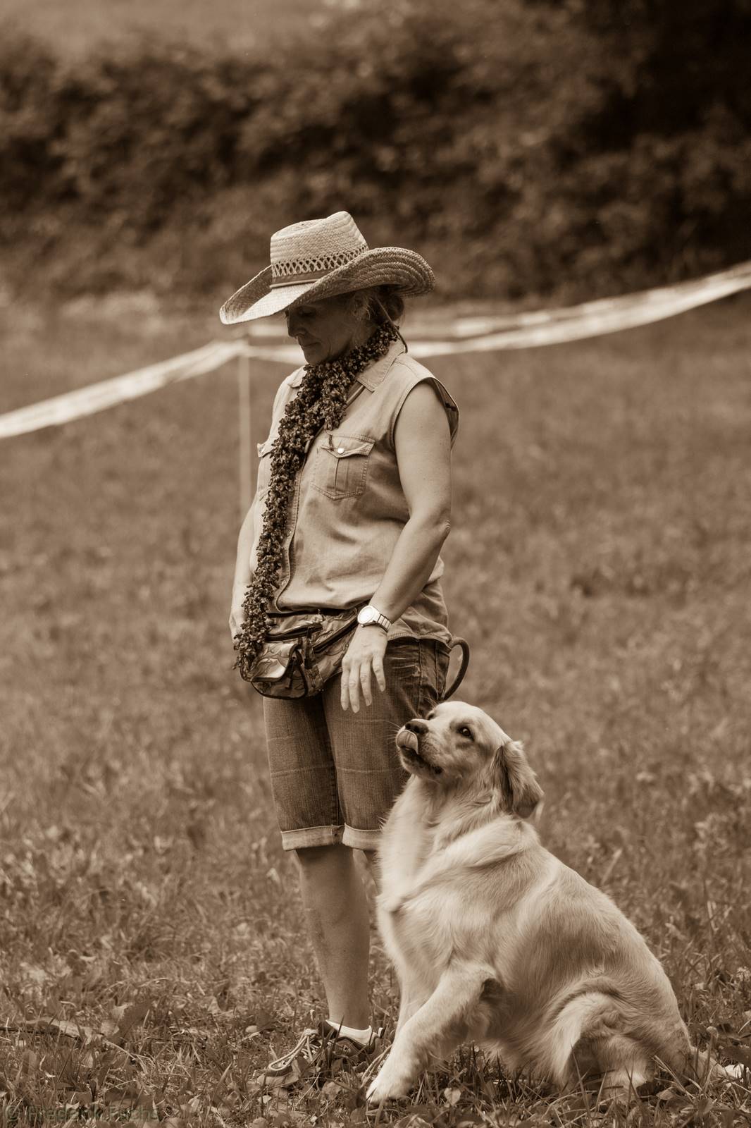 Limgl3097 20130719 1497088475