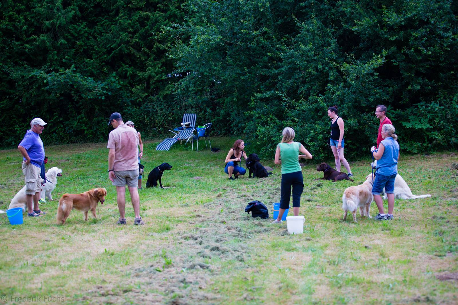 Limgl3119 20130719 1817321079