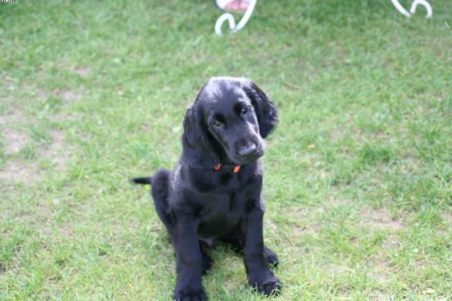 Img 1233430703 664 lg opt