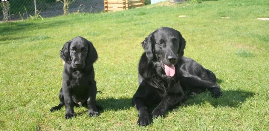 Img 1233430748 353 lg opt