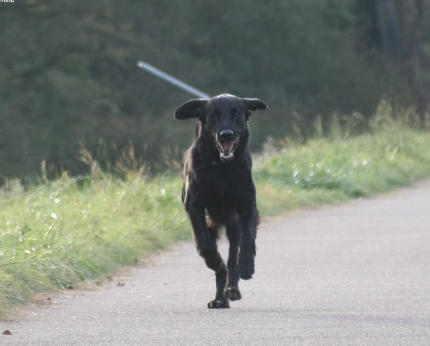 Img 1233430844 501 lg opt