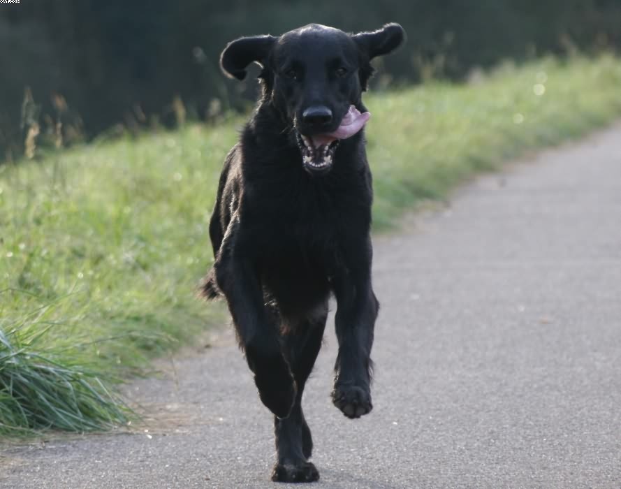 Img 1233430879 790 lg opt