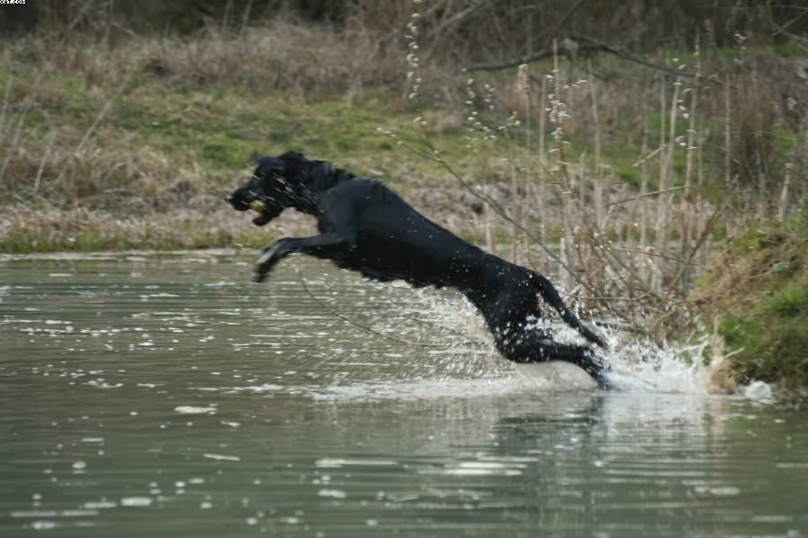 Img 1233430952 112 lg opt