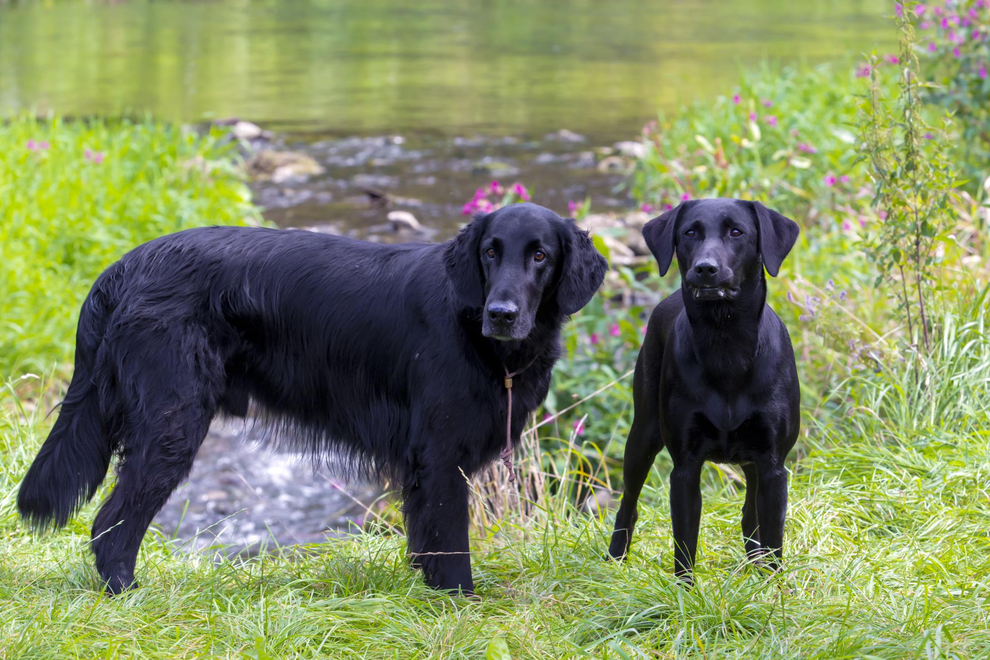 20140819 IMGL9340 Bearbeitet